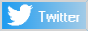 Twitter Profile